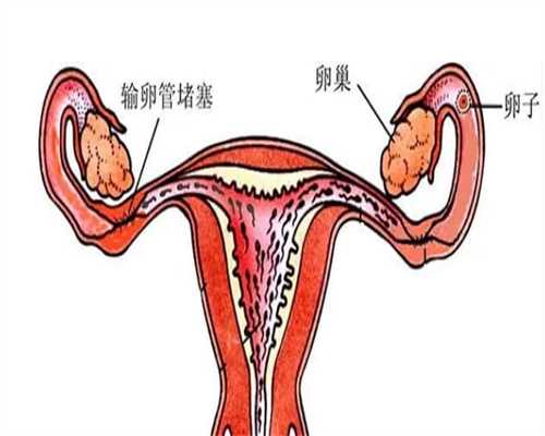 南京鼓楼医院生殖中心试管婴儿技术排名前三的医生有哪些？