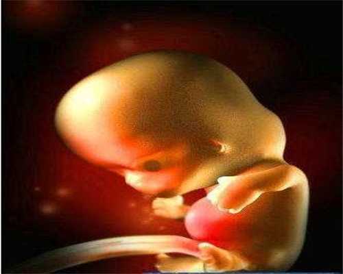 代孕的详细流程-南京三代试管供卵助孕费用_泰国做试管婴儿-试管婴儿监测排卵